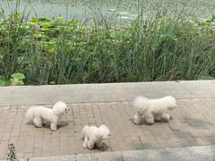 -素心小筑(后沙裕镇店)