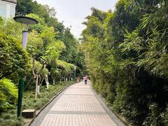 -神仙树公园