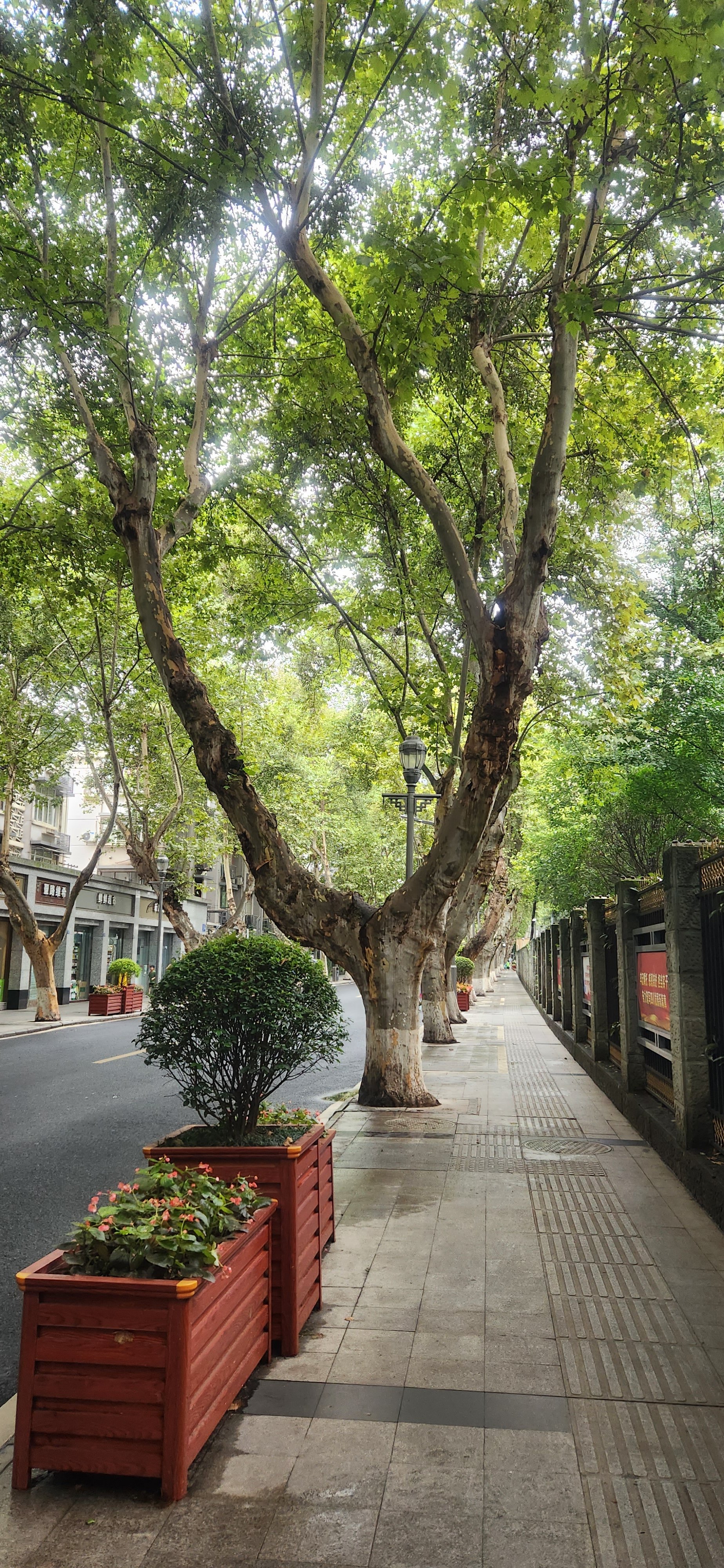 成都街头照片 唯美图片