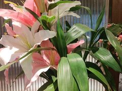 -鑫小城故事·藕汤·家常菜(台北一路总店)