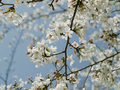 -西北湖绿化广场