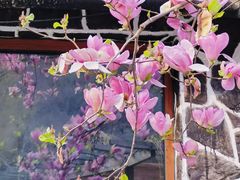 -北京水岸山吧度假村(雁栖镇店)