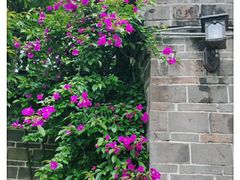 -金谷域澳洲庄园