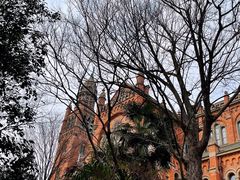 -上海佘山国家森林公园西佘山园