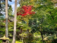 -三千院