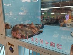 -FAELING PETS美天灵宠物(合生汇店)