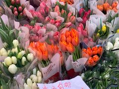 -循礼门鲜花花市(武汉循礼门店)