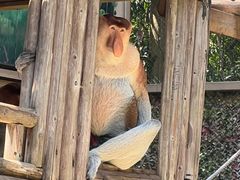 -广州长隆野生动物世界