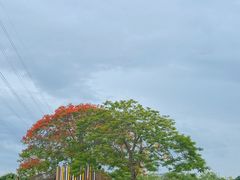 -盈香心动乐园