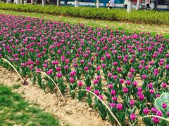 -玄武湖景区-情侣园游乐场