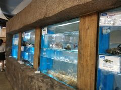 水产区-郑庄脂渣海鲜楼(九水路店)