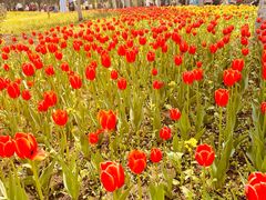 -长春公园(普阳街道)