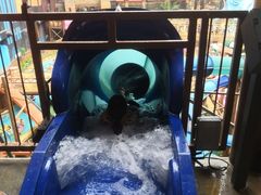 -波塞冬旅游度假区