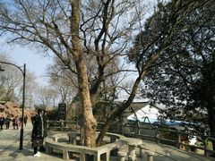 -巢湖姥山岛