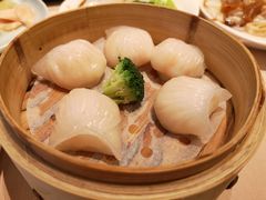 -金苑海鲜酒家(来魅力店)