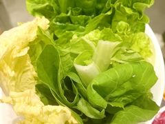 -潮发潮汕牛肉店(芳村店)