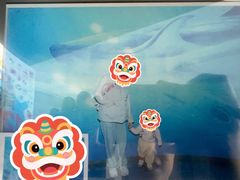 -重庆欢乐海底世界