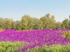 -汉长安城未央宫国家考古遗址公园