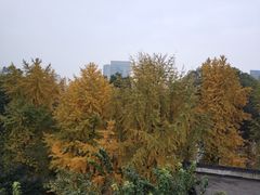 -四川大学(华西校区)