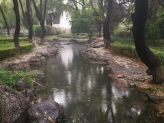 -百脉泉景区