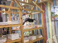 -小时光咖啡馆(开森度假森林店)