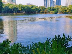 -荔湾湖公园