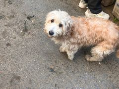 -众品香美食(三弓路店)