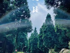 -重庆睡佛山森林公园