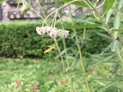 -广州神农草堂中医药博物馆