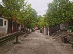 -恩阳古镇
