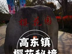 -高东镇樱花园