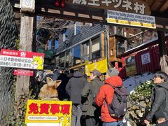 -宫城藏王狐狸村