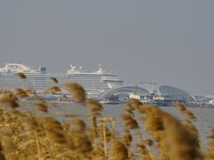 -吴淞炮台湾湿地森林公园烧烤区