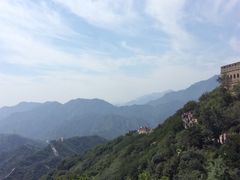 -老北京绿豆饼(解放路店)