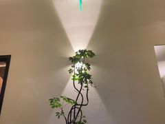 -涟LIAN·泰式按摩·MASSAGE·SPA(深业上城店)