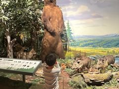 -陕西自然博物馆