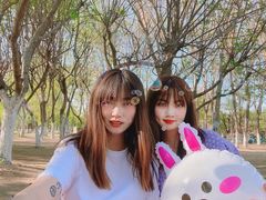 -长白岛森林公园