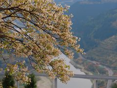 -舒家湾天主教堂
