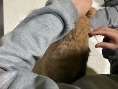 -瑞鹏瑞爱宠物医院·全科·猫科·血液透析中心(龙头寺店)