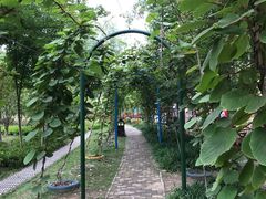 -合肥滨湖国家森林公园