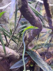 -酷嗒动物文化乐园(cutezoo西溪乐天城店)