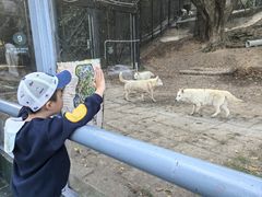 -深圳野生动物园