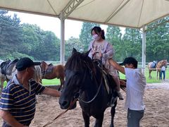 -太阳岛度假酒店