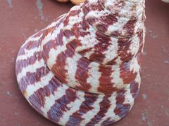 20121025_121814-老味道民宿(栈桥店)