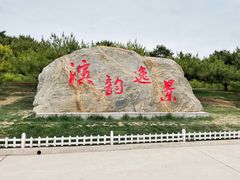 -塘沽森林公园