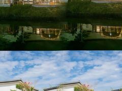 -盐城丹顶鹤湿地生态旅游区