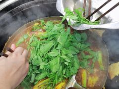 -洪湖家庭农场·团建·露营·会议