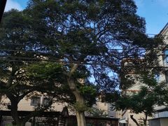 -几静cafe(基湖店)