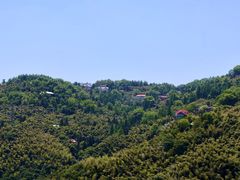 -莫干山风景区