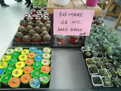 -南通洲际绿博园